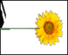 Sunflower wand