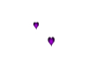 Purple hearts