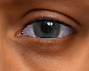 ASTERI GRAY EYES