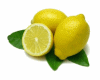 signora limone
