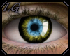 [LG] Eyes Drexis