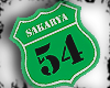Sakarya 54