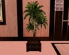 R*G Salon Plant