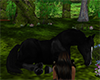 Realistic Black Horse