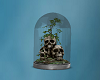 Skull Terarium