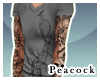 -P- Peacock shirt!