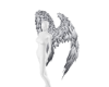 ᨳWings! Seraph
