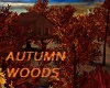 Autumn Woods Treehouse