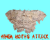 Moth Attack