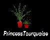Potted Plants 2