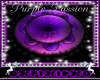 purple passion rug 1