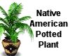 (MR) NA Potted Plant