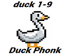 Duck Phonk + Anim