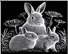 *LH* Playboy Bunny Set