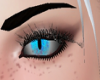 Blue Slited Eyes
