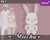 🌸 Usagi Pet Animated