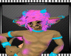 alexian Bundle (M)