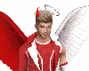 Angel Devil Outfit M