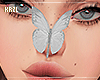 KZ| White Butterfly Nose