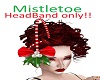 Mistletoe Head Band