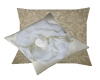 Special Occasion Pillows
