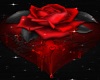 blood rose dance table 2