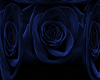 Blue Rose Background-F