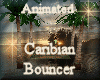 [my]Caribian Bouncer Ani