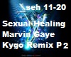 Sexual Healing KygoRemix
