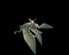 (CS)flying dragon anaima
