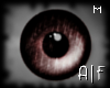 [AF] Bronze Eyes M