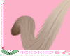Cat Tail Ash