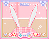 KID 🐰 Bunny Tent 40%