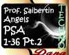 Prof. Saibertin - Angel2