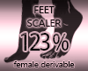 Feet Shoes Resizer 123%