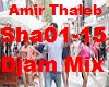 .D. Amir Thaleb Mix Sha