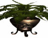 Hall Potted Plant