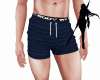 Blue stripes shorts