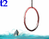 Hoop Dolphin Animated