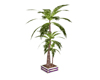 -ND-Purple White Plant 1