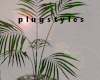 Island Villa Plant 1