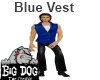 [BD] Blue Vest