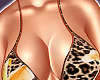 Tropical Set V3
