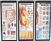 medical posters
