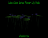 Lake Cabin Lotus Flower