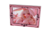 +R+ Bunny girl