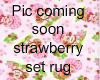 Strawberry Rug