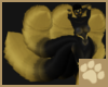 ~AM~ Dakala Tails v3