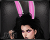 ~CC~Pink Bunny Fit