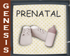BBBee Prenatal Sign